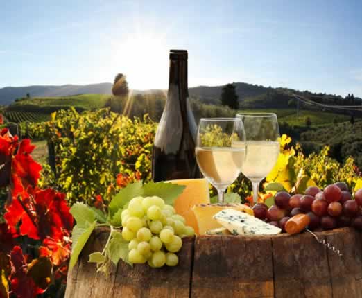 Excursión a la Ruta del Queso y Vino